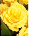 Желтая кустовая роза